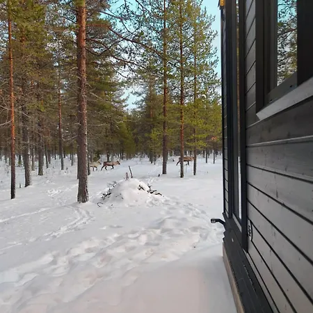 Fell Village 10 With A Mountain View, Fireplace, Sauna, Kitchen * Luosto